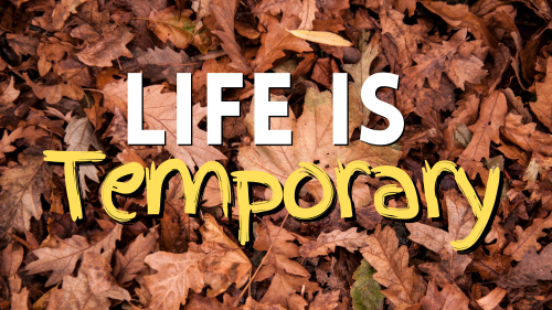Life Is Temporary Featured Image